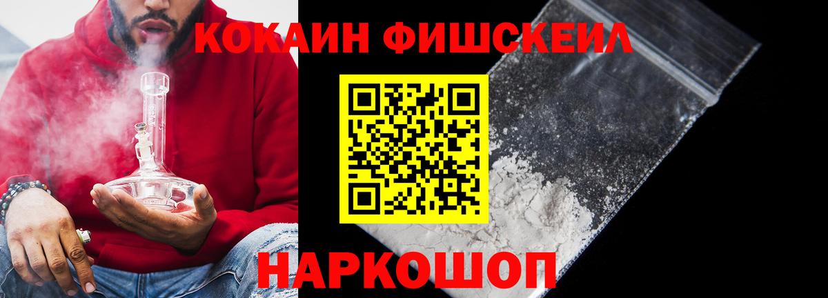 Cocaine Fish Scale  Дзержинск  закладки  КОКАИН 99%  COCAIN 