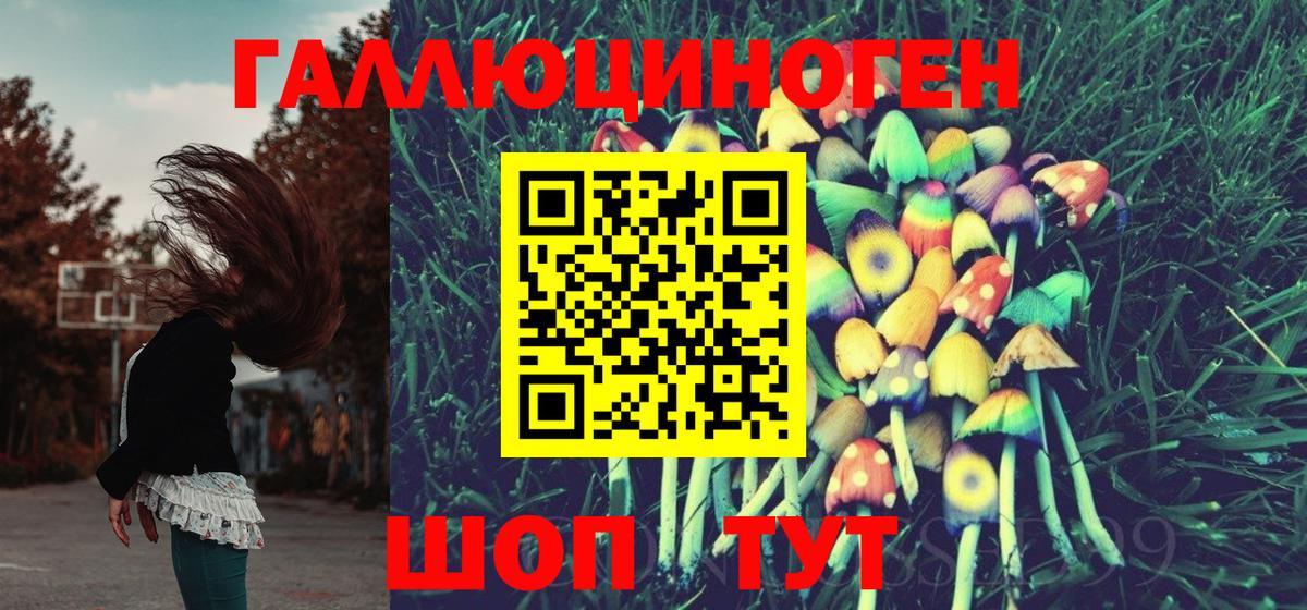 Псилоцибиновые грибы Psilocybe Дзержинск