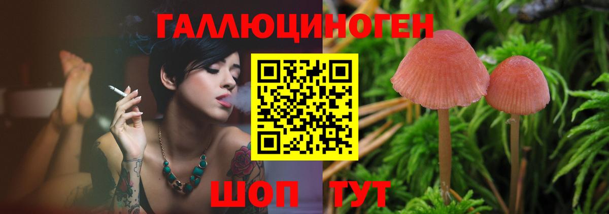 Галлюциногенные грибы Magic Shrooms  Псилоцибиновые грибы Cubensis  магазин продажи   Дзержинск  Вход с VPN 